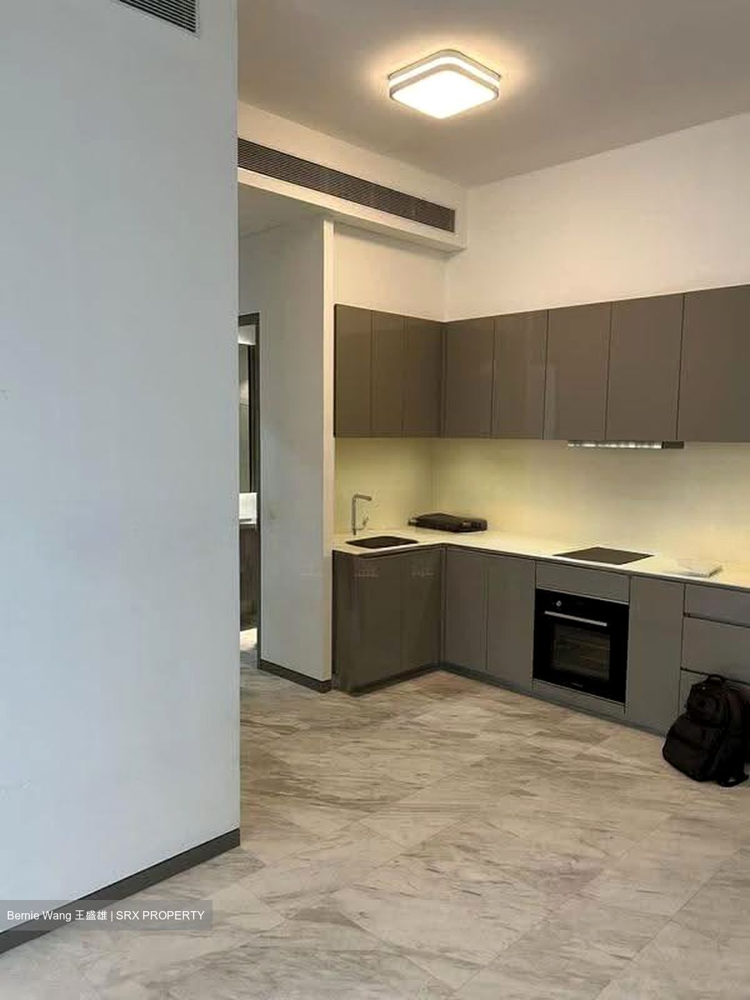 Robin Residences (D10), Condominium #619805381